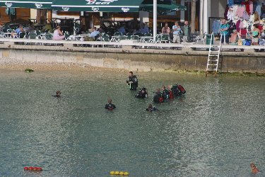 Diving in the bay